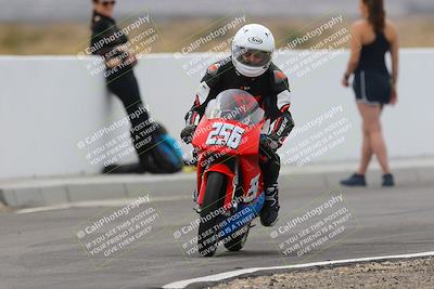 media/Mar-11-2023-SoCal Trackdays (Sat) [[bae20d96b2]]/Turn 2 Backside (1150am)/